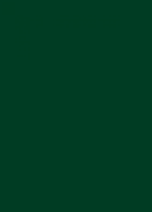Фасады Фасад из акрила 060 Dark Green (Темно-зеленый) на заказ в Ялте Фасады Фасад из акрила 060 Dark Green (Темно-зеленый) на заказ в Ялте фотография