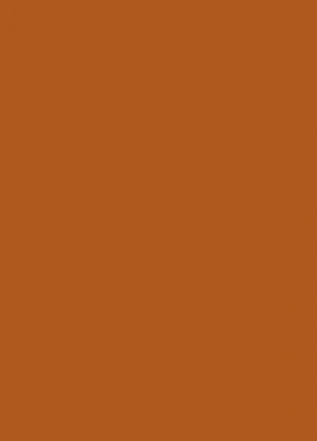 Фасады Фасад из акрила 083 Nut brown (Ореховый) на заказ в Ялте Фасады Фасад из акрила 083 Nut brown (Ореховый) на заказ в Ялте фотография