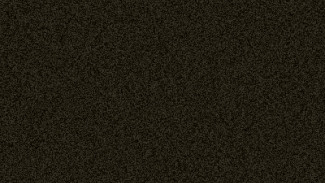  Black  Shining 0337